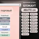 Рулонная штора Эскар блэкаут LUX 48x170 см цвет пудровый