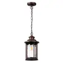 Светильник уличный подвесной Odeon Light Od_4961_2 60 Вт IP44 цвет коричневый