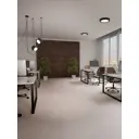 Линолеум Комитекс Flex Line Джотто 149 43 класс 2x5 м 10 м²