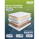 Матрас Dreamexpert Natural Mix PS1000 DEXDE9499683 110x185x21 см независимый пружинный блок 1.5-спальный
