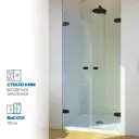 Душевая дверь Gutewetter 1386238169 95см эффект стекла прозрачный распашной