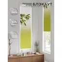 Рулонная штора блэкаут At Home AT783307047, 47x170 см, цвет белый, зеленый