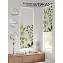 Рулонная штора блэкаут At Home AT783098068, 68x170 см, цвет белый, зеленый