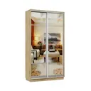 Шкаф-купе Нонтон 220x100х60 см 7 полок лдсп цвет бунратти