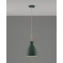 Светильник подвесной Moderli Toni V11438-1p 1 лампа 6 м² цвет дерево/зеленый