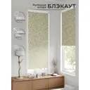 Рулонная штора блэкаут At Home AT783391068, 68x170 см, цвет бежевый, зеленый