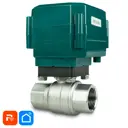 Кран шаровой с электроприводом прямой PS-Link QT04-20W DN20 PN10 3/4" ВР нержавеющая сталь ручка рычаг Wi-Fi