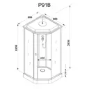 Душевая кабина Parly P91B 90x90x215 см низкий поддон профиль черный стекло прозрачное