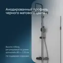 Душевая перегородка Am.pm W94WI-110-F1-BTE_7214 110.4x195см черный профиль