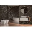 Керамогранит Premium gt Zebrano_pgt PGT1206010105MGR 60x120см цвет черный
