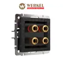 Розетка аудио встраиваемая Werkel a052041 цвет черный