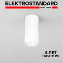 Светильник потолочный светодиодный уличный Elektrostandard 35129/H Light IP65 цвет белый