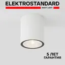 Светильник потолочный светодиодный уличный Elektrostandard 35131/H Light IP65 цвет белый