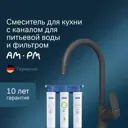 Смеситель для кухни Am.pm F8007S22 поворотный излив 27 см цвет черный