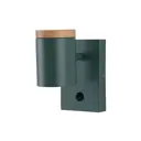 Настенный светильник Moderli Asheswood V11294-1w цвет зеленый