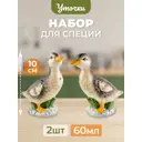 Банка для специй Elan gallery керамика цвет разноцветный 340058