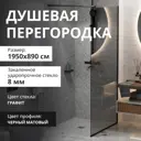 Душевая перегородка Aceglass MGD-693-6у 890x10 см черный профиль