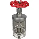 Задвижка ручная клиновая DN.ru D040-09009 DN24 PN16 1" ВР с выдвижным шпинделем нержавеющая сталь