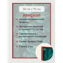 Рамка Первое ателье Niel-2rg-50x70 см, алюминий, цвет красный