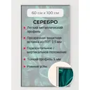 Рамка Первое ателье Niel-2sm-60x100 см, алюминий, цвет серебристый