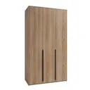 Шкаф распашной Бергамо с 3 дверями 120x220x60 см ЛДСП цвет дуб комано