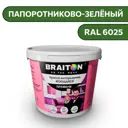 Водно-дисперсионная краска Braiton Премиум Моющаяся интерьерная 2.5кг цвет папоротниково-зелёный RAL 6025
