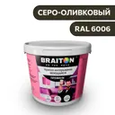 Водно-дисперсионная краска Braiton Премиум Моющаяся интерьерная 6кг цвет серо-оливковый RAL 6006