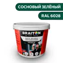 Водно-дисперсионная краска Braiton Премиум Сверхпрочная фасадная 4кг цвет сосновый зелёный RAL 6028
