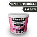 Водно-дисперсионная краска Braiton Премиум Моющаяся интерьерная 1кг цвет чёрно-оливковый RAL 6015