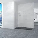 Душевая перегородка Rgw 320815 100x195см серебристый блеск профиль