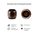 Комплект кровельной вентиляции Polivent (Колпак ⌀160мм/Вентиляционный выход 700мм с переходом ⌀110мм) для кровельного профнастила 20мм RAL 8017 коричневый