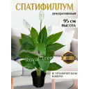 Искусственное дерево Спатифиллум 95 см в техническом кашпо 223120211