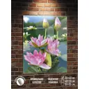 Картина Полицентр Водяная лилия в пруду 40x30 см