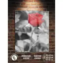 Картина Полицентр Красная роза черно белый фон 50x40 см