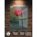 Картина Полицентр Красный дикий пион 70x50 см