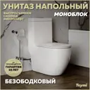Унитаз-компакт Teymi T41102 горизонтальный двойной слив