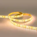 Светодиодная лента Eleganz Lux 2835 120 LED (9.6W/M) СИЛИКОН IP65 12V теплая 3000К,5м