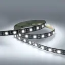 Светодиодная лента Eleganz Lux 5050 60 LED (14.4W/M) 12V холодная 6000К ЧЕРНАЯ ОСНОВА, 5м