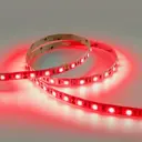 Светодиодная лента Eleganz Lux 5050 60 LED (14.4W/M) 12V КРАСНАЯ IP20, 5м