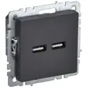 Розетка USB встраиваемая Iek Brite BR-U21-D31-K02 цвет черный