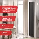 Радиатор Arbiola Compact V 1800-63 06 секций черный вертикальный c нижним подключением