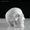 Статуэтка Мастерская экорше 4181581