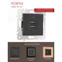 Розетка USB встраиваемая Arte milano 203.46-1.black цвет черный