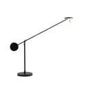 Настольная лампа Kink Light Некси 6Вт черный 09440-T.193000K