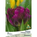Тюльпан махровый поздний Аликанте 3 шт.