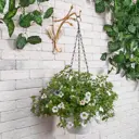 Кронштейн для цветов Bogacho Oliva Branch Айвори золотистый