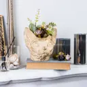 Декор для дома кашпо для цветов Кошка Агнесса кремовый