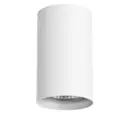 Светильник точечный накладной Lightstar 214436 Rullo GU10 цвет белый