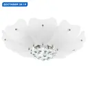 Люстра потолочная Lightstar Lobo Ls_804020 6 ламп 12 м² цвет хром