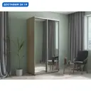 Шкаф-купе с зеркалом МК Е1-Юг Хит 220x120x60 см 2 полки ЛДСП цвет сонома